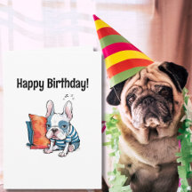 niedlicher französischer Hund, gekleidet, Tier, so