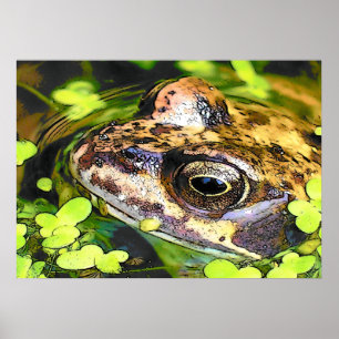 NIEDLICHER FROG POSTER