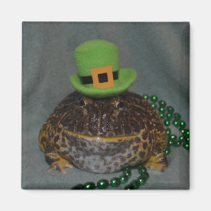 Niedlicher Frosch Magnet