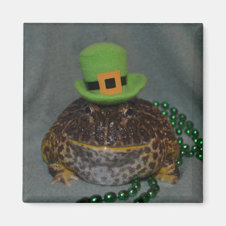 Niedlicher Frosch Magnet