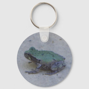 Niedlicher Frosch-Schlüsselanhänger Schlüsselanhänger