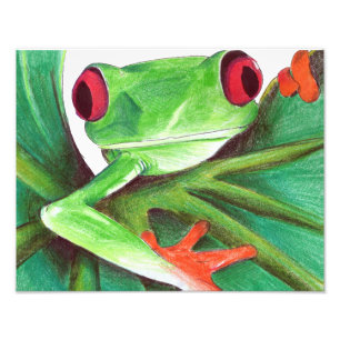niedlicher Froschdruck Fotodruck