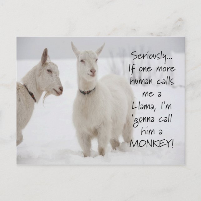 Niedlicher Funny Animal Goat Joat Postkarte (Vorderseite)