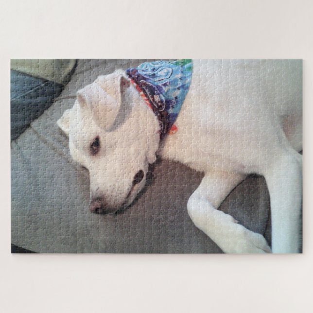 Niedlicher Funny White Puppy Brooding auf Couch Puzzle (Horizontal)