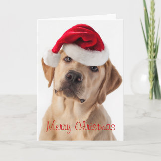Niedlicher Gelbe Labrador Hund mit Weihnachtsmannm Feiertagskarte