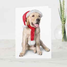 Niedlicher Gelbe Labrador mit Weihnachtsmannmütze Feiertagskarte