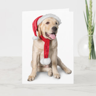 Niedlicher Gelbe Labrador mit Weihnachtsmannmütze Feiertagskarte