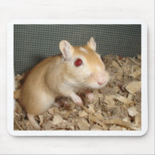 Niedlicher Gerbil Mousepad