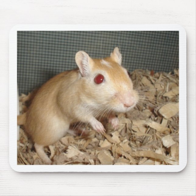 Niedlicher Gerbil Mousepad (Vorne)