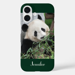 Niedlicher Gigant Panda dunkelgrüner Hintergrund,  iPhone 16 Hülle