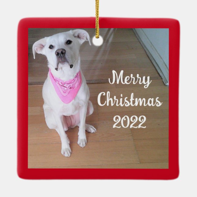 Niedlicher glücklicher Welpenhund mit rosa Scarf S Keramikornament (Rückseite)