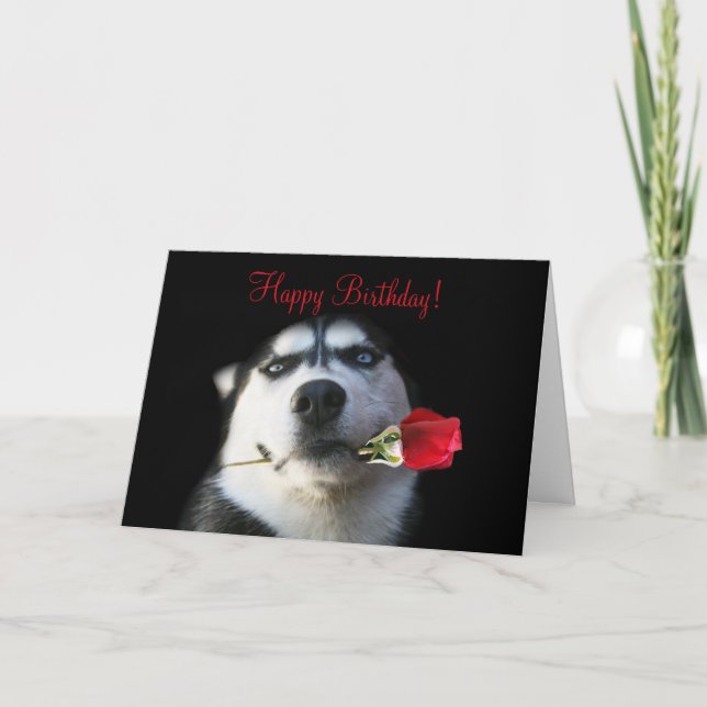 Niedlicher Glückwunsch zum Geburtstag meines Juris Karte (Vorderseite)