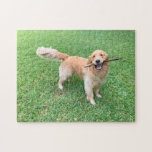 Niedlicher Golden Retriever Hund fotografiert Grün Puzzle<br><div class="desc">Dieses zauberhafte Goldene Retriever,  das im schönen Grünen des Sommers spielt,  wird Sie zum Lächeln bringen. Ein niedliches Hundepuzzle-Geschenk.</div>