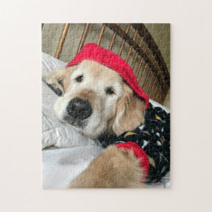 Niedlicher Golden Retriever Hund in Pajamas Puzzle