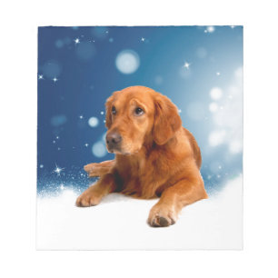 Niedlicher Golden Retriever Hund sitzt in Schneest Notizblock