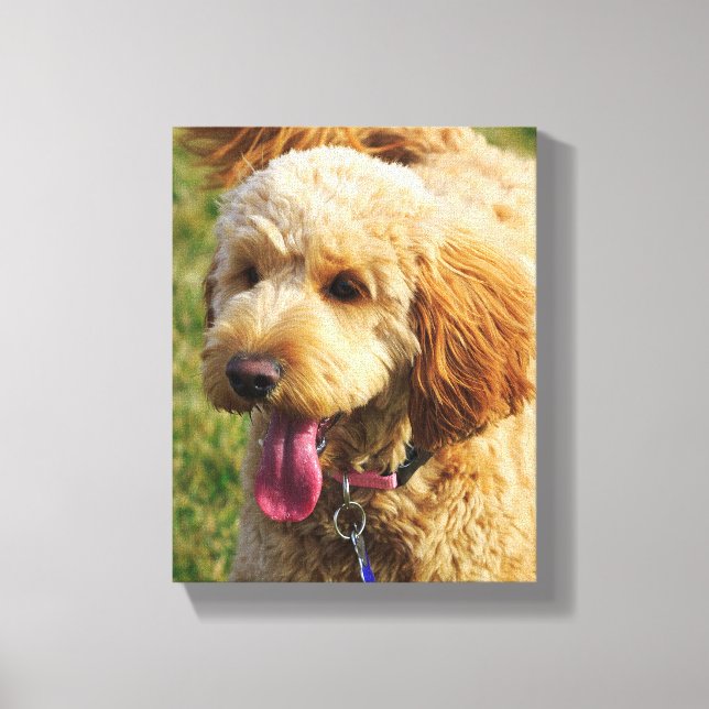 Niedlicher Goldendoodle Hund Leinwanddruck (Vorderseite)