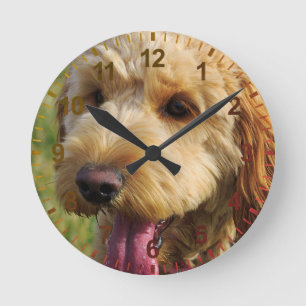 Niedlicher Goldendoodle Hund Runde Wanduhr