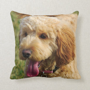 Niedlicher Goldendoodle Kissen