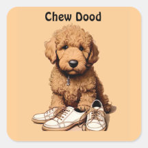 Niedlicher Goldendoodle Welpenhund mit Schuhen