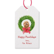 Niedlicher Goldener Dodle und Weihnachtskranz