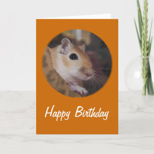 Niedlicher goldener HaustierGerbil Karte