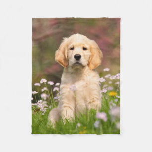 Niedlicher goldener Retriever-Hundewelpe, bequem Fleecedecke