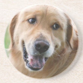Niedlicher goldener Retriever-Untersetzer Sandstein Untersetzer