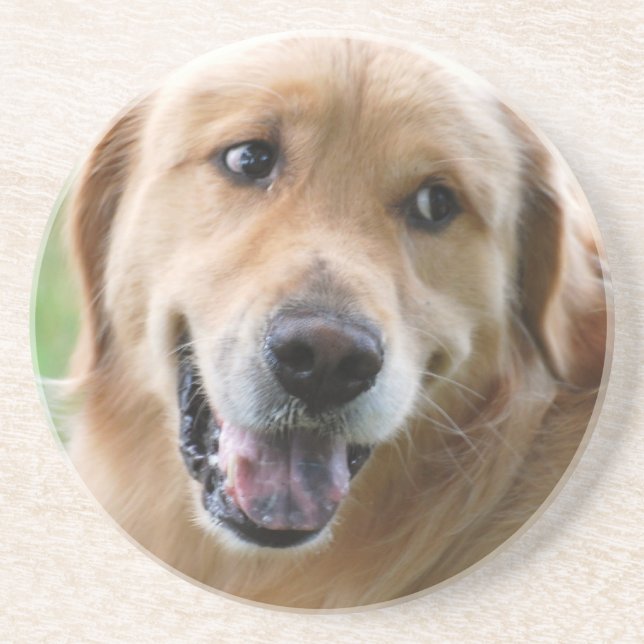 Niedlicher goldener Retriever-Untersetzer Sandstein Untersetzer (Vorne)