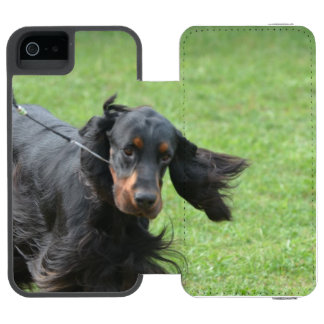 Niedlicher Gordon-Setzer Incipio Watson™ iPhone 5 Geldbörsen Hülle