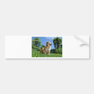 Niedlicher Grashund Autoaufkleber