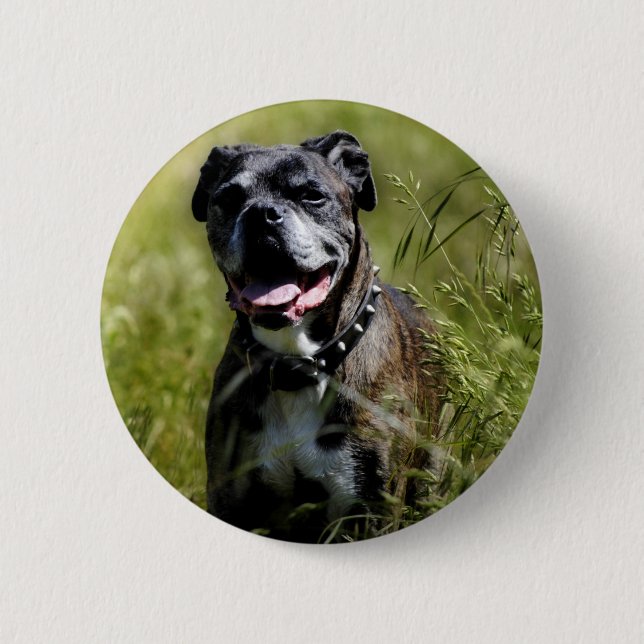 Niedlicher Grashund Button (Vorderseite)