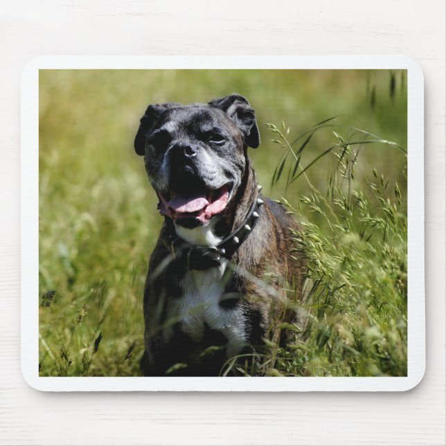 Niedlicher Grashund Mousepad (Vorne)