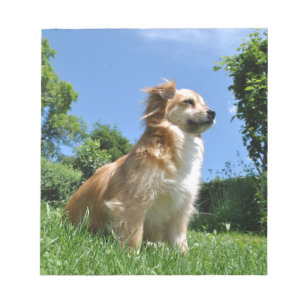 Niedlicher Grashund Notizblock