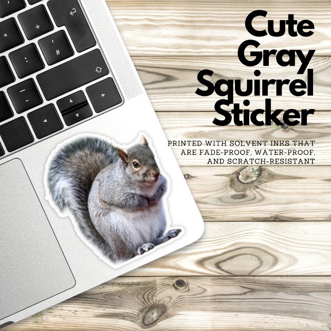 Niedlicher Graue Eichhörnchenaufkleber Aufkleber (gray squirrel sticker, cute animal sticker, nature lover sticker, wildlife sticker, vinyl sticker, w)