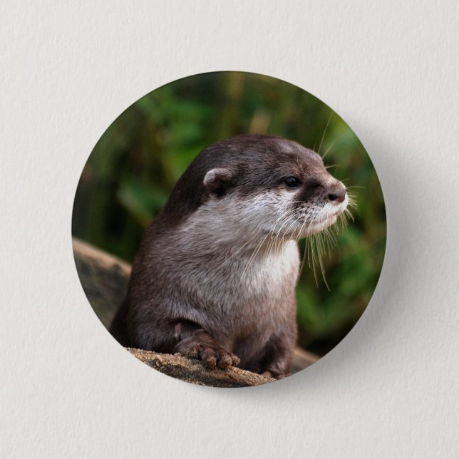 Niedlicher grauer Otter Button (Vorderseite)