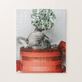 Niedlicher, grauer Welpe in einem roten Karton Puzzle