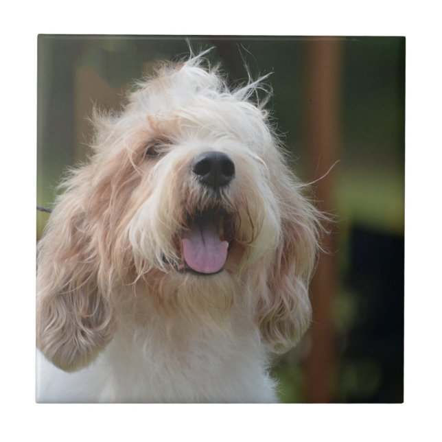 Niedlicher großartiger Dachshund Fliese (Vorderseite)