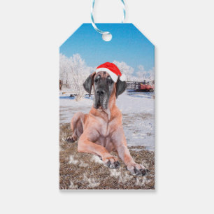 Niedlicher Großer Däne Hund sitzend im Schneehuhhu Geschenkanhänger