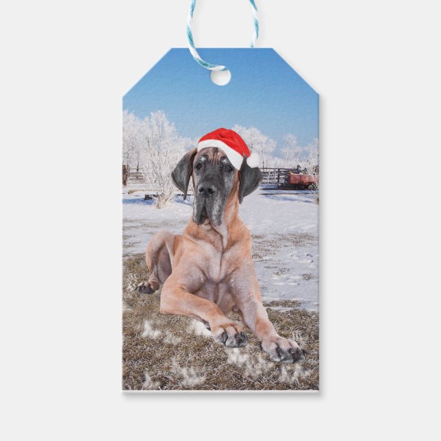 Niedlicher Großer Däne Hund sitzend im Schneehuhhu Geschenkanhänger (Vorderseite)