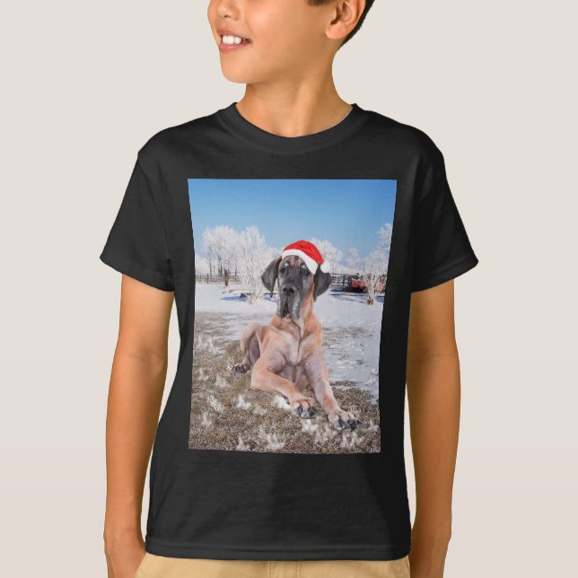 Niedlicher Großer Däne Hund sitzend im Schneehuhhu T-Shirt (Vorderseite)