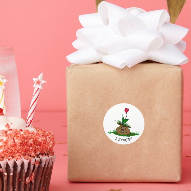 Niedlicher Groundhog auf der Suche nach Frühling Runder Aufkleber (Party)