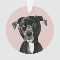 Niedlicher Gruben-Stier-Hund