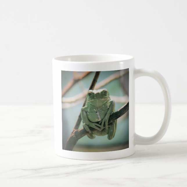 Niedlicher grüner Frosch auf einer Zweigniederlass Tasse (Rechts)