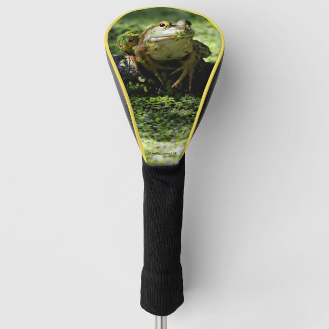Niedlicher grüner Frosch schlägt eine Pose auf dem Golf Headcover (Vorderseite)