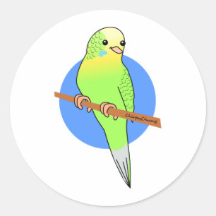 Niedlicher grüner Parakeet Runder Aufkleber