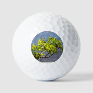 Niedlicher grüner Wind Golfball