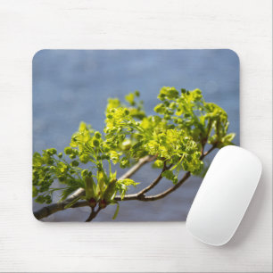 Niedlicher grüner Wind Mousepad