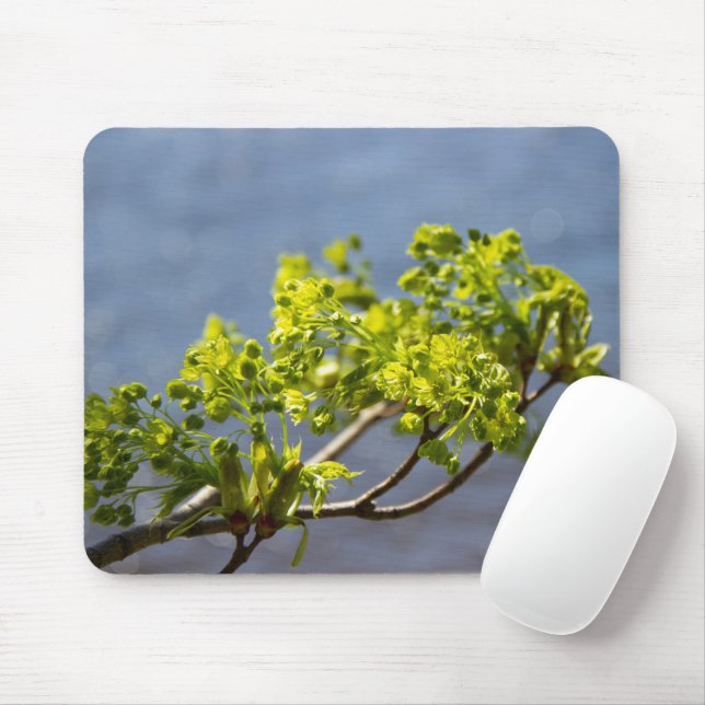Niedlicher grüner Wind Mousepad (Mit Mouse)