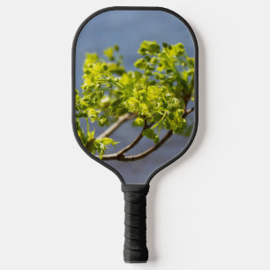 Niedlicher grüner Wind Pickleball Schläger