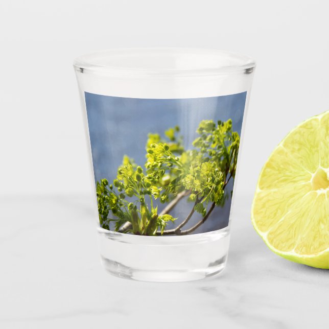 Niedlicher grüner Wind Schnapsglas (Vorderseite)